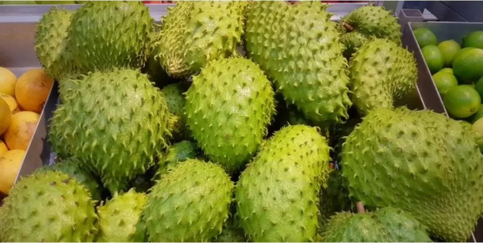 Info Kesehatan 10 Manfaat Si Buah Ajaib Yang Jarang Diketahui Menjelajahi Keajaiban Buah