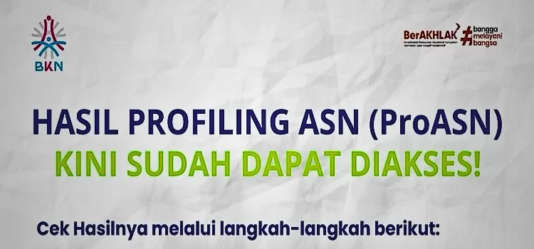 APA ITU PRO ASN? Berikut Ini 7 Alasan Mengapa Hasil Profiling ASN Wajib ...