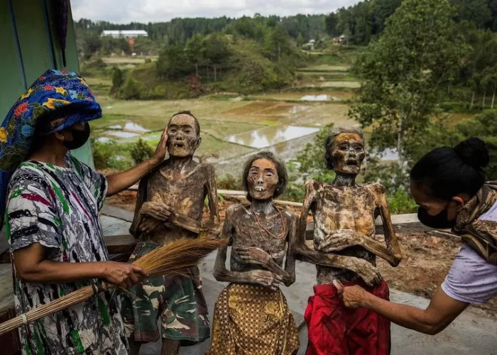 Ma'Nene, Tradisi Khas Suku Toraja Hormati Para Leluhur, Jasad ...