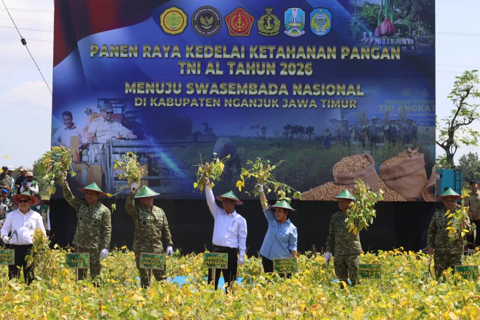 Panen raya kedelai di nganjuk