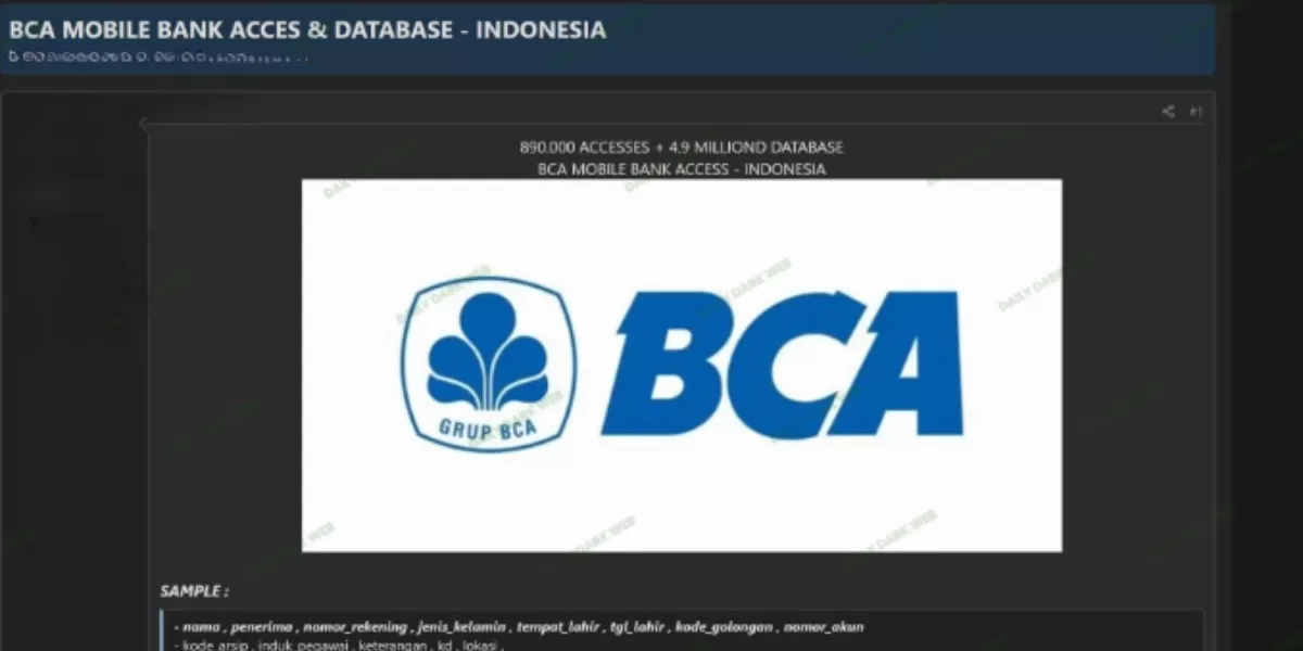 Tangkapan layar terkait dugaan kasus kebocoran data nasabah di Mobile Banking BCA dalam forum Dark Web. (X.com/DailyDarkWeb)