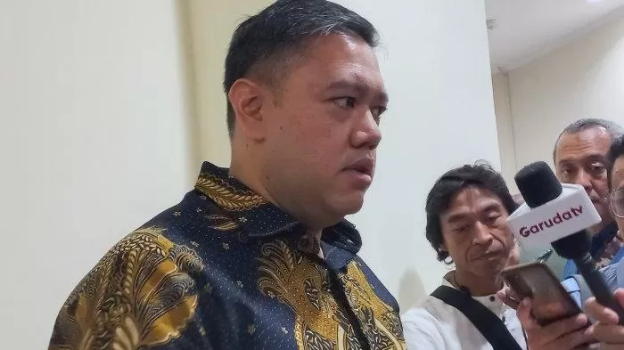 Ketua DPP Partai Golkar, Dave Laksono. Foto: Tribunnews.com