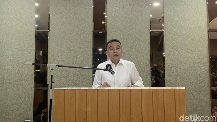 Foto: Sufmi Dasco Ahmad. Foto: Detik.com