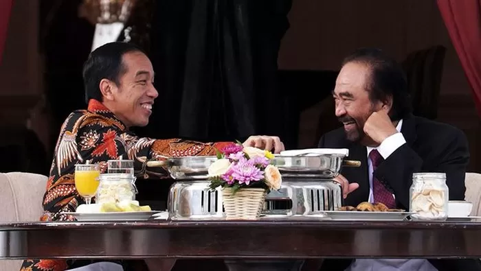 Presiden Jokowi dan Surya Paloh saat bertemu di Istana Selasa (22/11/2024). Foto: Detik.com