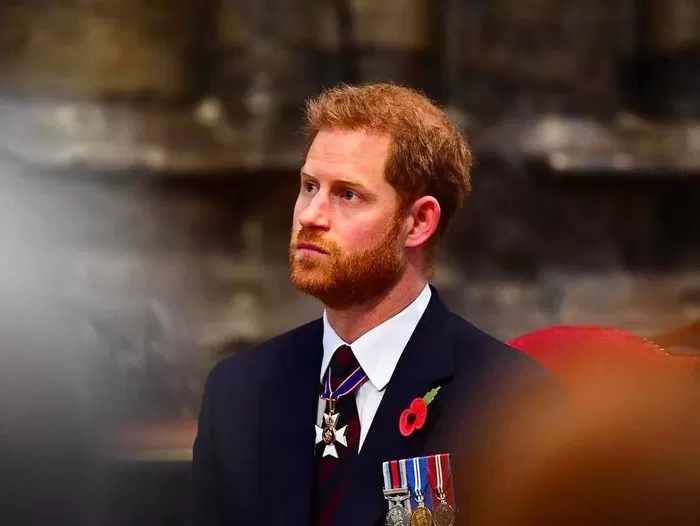 Pangeran Harry. Foto: Instagram @sussexroyal