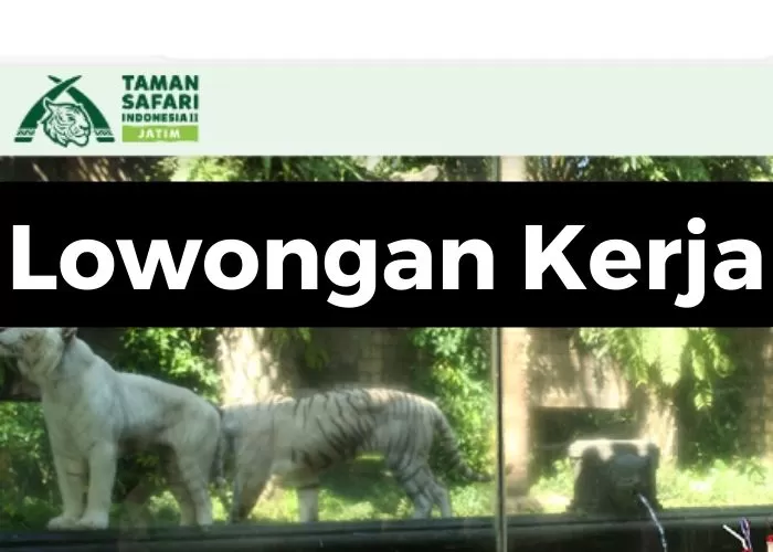 Info Lowongan Kerja dari taman Safari Indonesia (Foto: GENMUSLIM.id/dok: Canva)