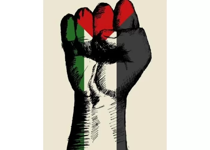 Palestina tanah yang diberkahi dalam Al Quran  (GENMUSLIM.id/dok: Instagram /@pbi_espanol)