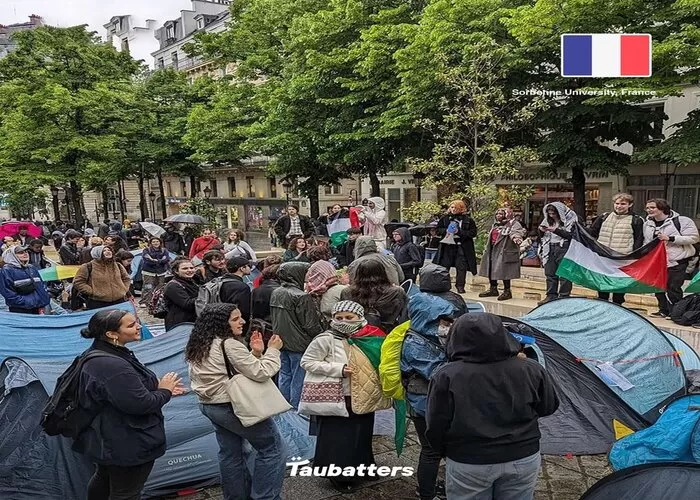 Suasana Perkemahan Solidaritas Gaza tuai respon positif warganet ((Foto: GENMUSLIM.id/dok: Instagram @taubatters))