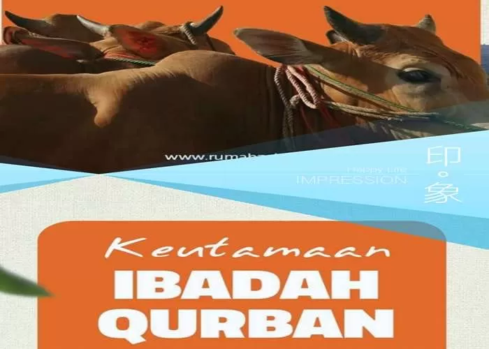Sederet keutamaan berqurban (Foto: GENMUSLIM.id/dok: Instagram @rumahzakat)