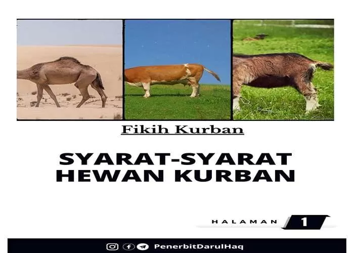 Idul Adha erat kaitannya dengan hewan kurban (GENMUSLIM.id/dok: Instagram pustakadarulhaq)