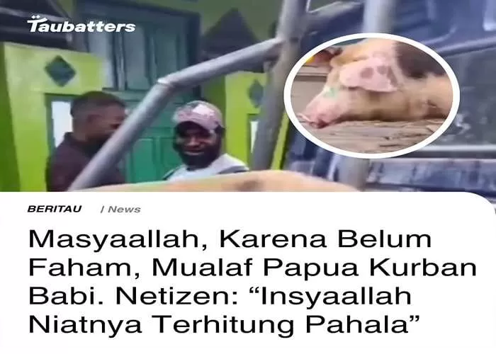 Unik, sebab ketidaktahuan seorang mualaf asal Papua antusias rayakan hari raya Idul Adha dengan berkurban menyembelih hewan babi   (GENMUSLIM.id.dok: instagram taubatters)