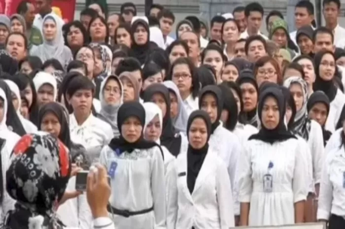 Pemerintah Pastikan Honorer yang Masuk Database BKN Bisa Diangkat Jadi ASN PPPK (Foto: GENMUSLIM.id/dok: Tiktok @newstekini)