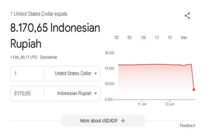 Tampilan Google Mendadak Error, Konversi Mata Uang Dolar ke Rupiah Hanya Tertulis 8ribu (Foto: GENMUSLIM.id/dok: Situs Google Finance)