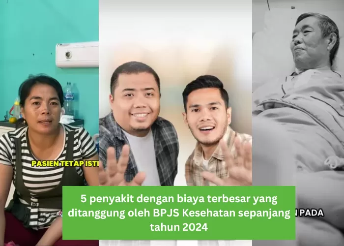 5 penyakit dengan kasus dan biaya terbesar yang ditanggung oleh BPJS Kesehatan sepanjang tahun 2024 (Foto: GENMUSLIM.id/dok: TikTok @bpjskesehatan_ri)