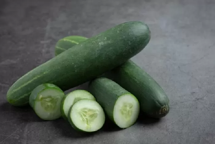 8 Manfaat Timun Segar untuk Kesehatan (freepik.com)