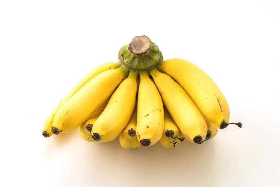 Pisang adalah buah yang populer di seluruh dunia, dikenal dengan rasa manisnya dan tekstur lembutnya. Selain rasanya yang enak, pisang juga memiliki banyak manfaat kesehatan berkat kandungan nutrisi.