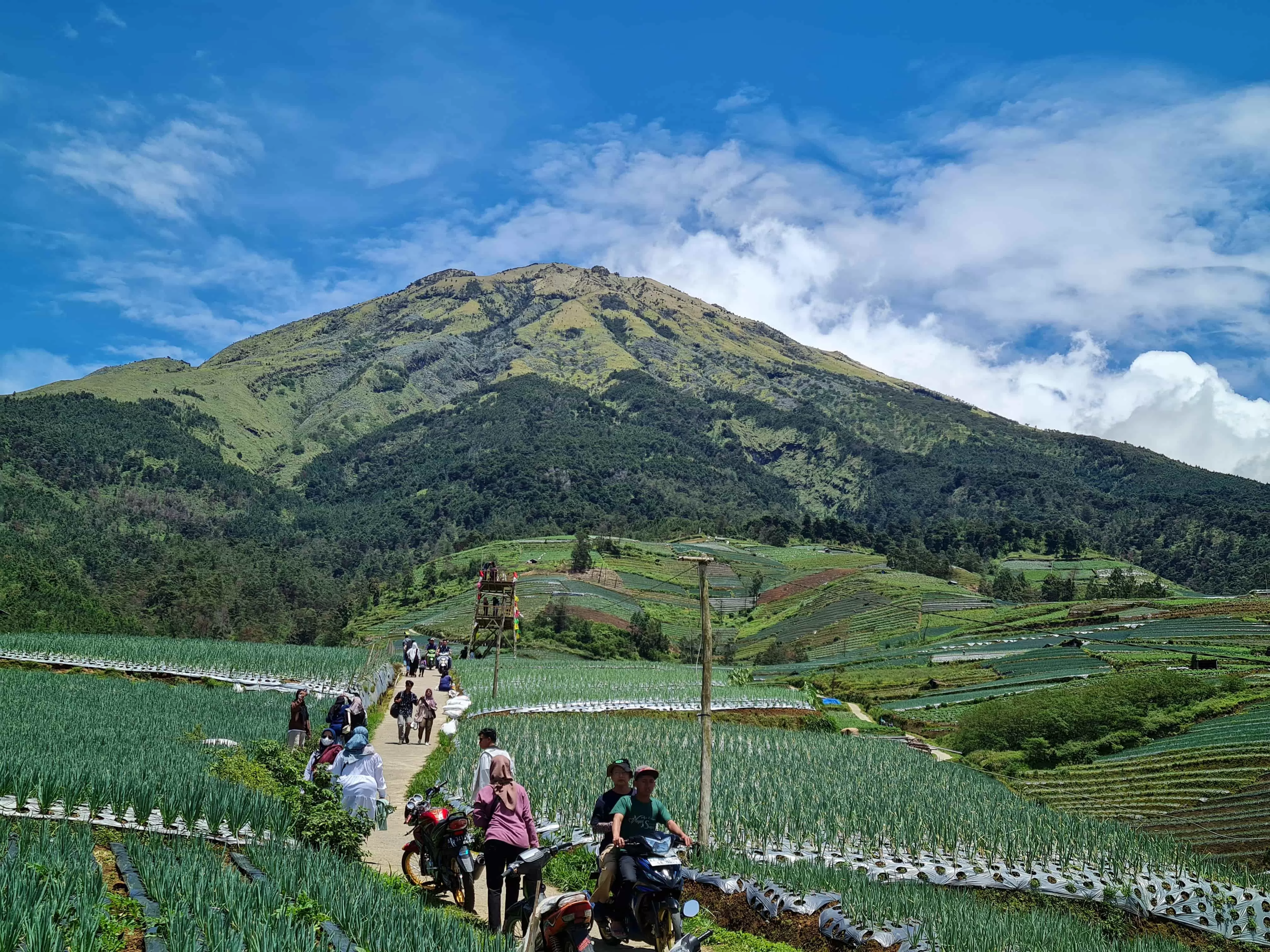 Pascakebakaran, Jalur Pendakian Gunung Sumbing Ditutup Sampai Waktu Tak ...