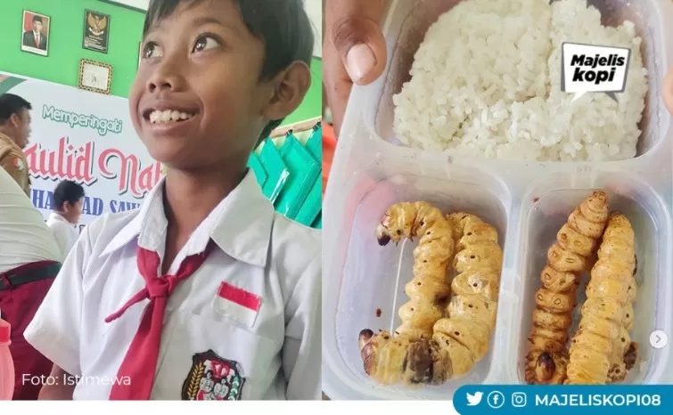 Viral Video Siswa Sd Membawa Bekal Ulat Sagu Apakah Boleh Dikonsumsi Radar Jogja 2458