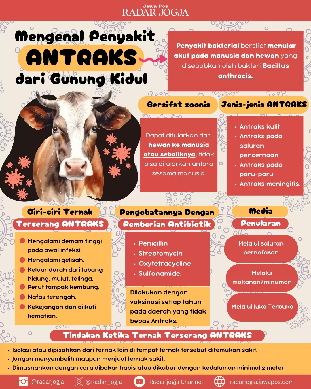 Mengenal Antraks: Penyakit Hewan Menular Strategis Dan Zoonosis ...