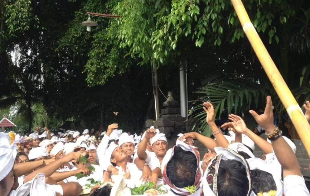 Makna Daun Dalam Ritual Hindu Di Bali Terungkap Dalam Lontar Yadnya