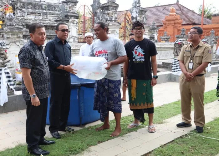 Menambah Keindahan Pura Agung Jagatnatha Walikota Jaya Negara Dan Komunitas Ikan Koi Lepas 360 9041