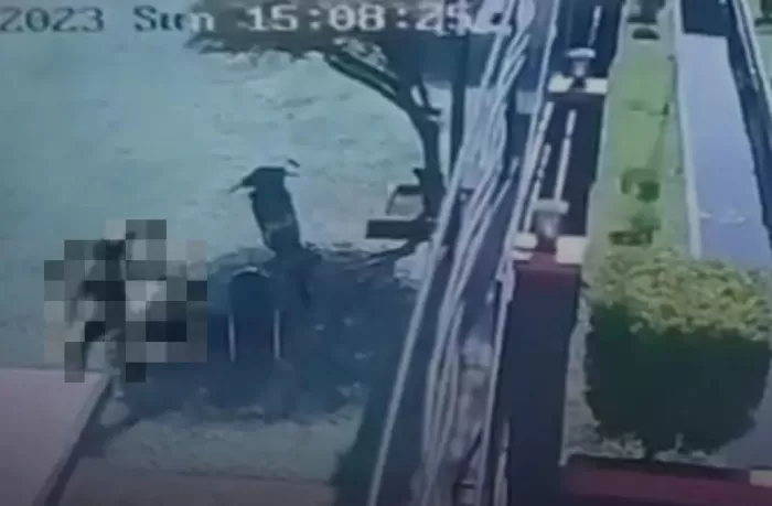 Terkam CCTV! Detik-detik Sekuriti Kantor Basarnas Mamuju Tewas Ditikam  Rekan Kerjanya Saat Main Gitar! - Radar Kudus - Halaman 2