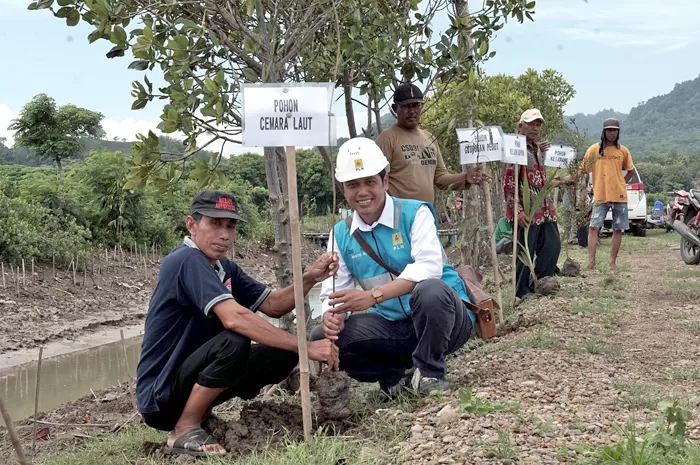 PLN UIK Tanjung Jati B Jepara Dukung Konservasi Ekosistem Laut Melalui ...