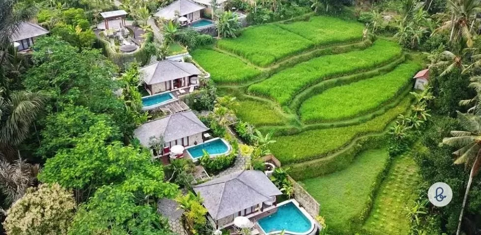 Ubud Bakal Jadi Pusat Prototipe Wisata Gastronomi Dunia, Apa Itu ...