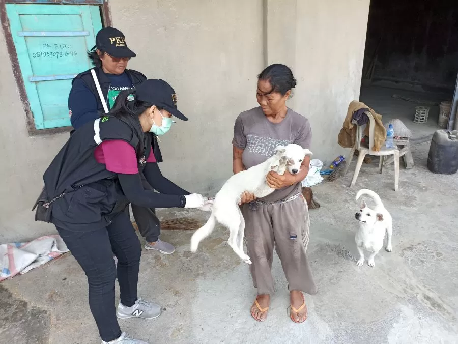 Cek Fakta! Vaksinasi Rabies di Denpasar Tahun 2023 Belum 100 Persen