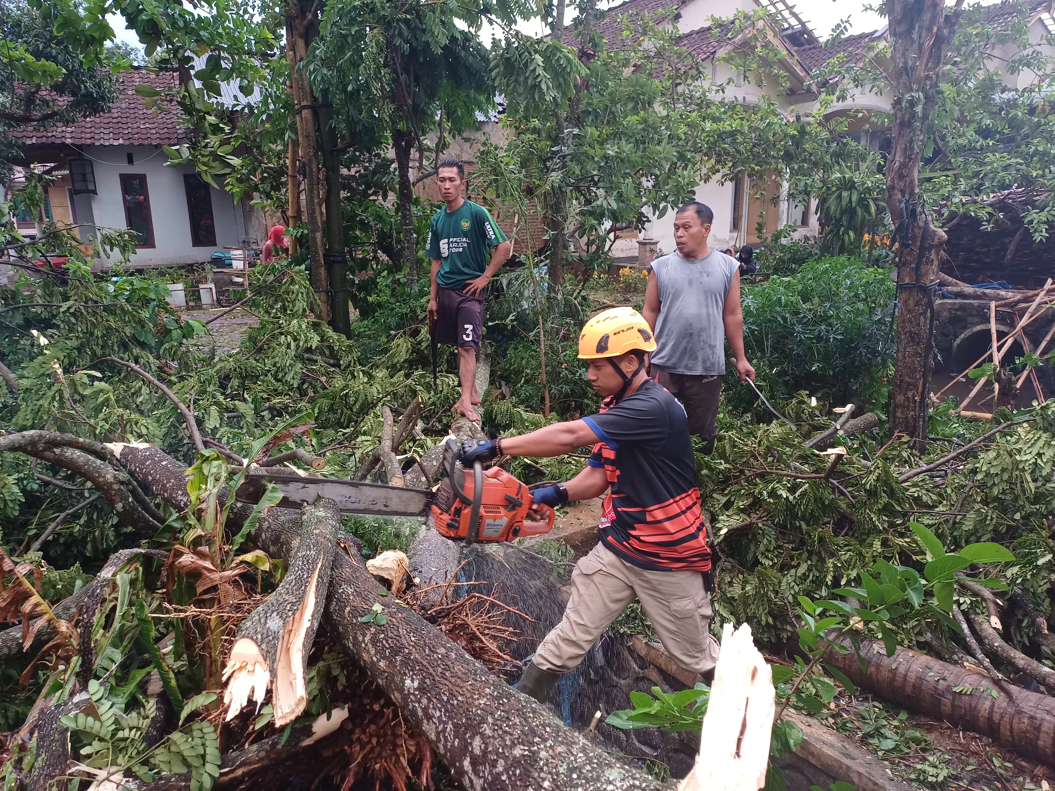 Baru Hujan, Angin Kencang Hantam Dua Desa Di Wilayah Bondowoso - Radar ...