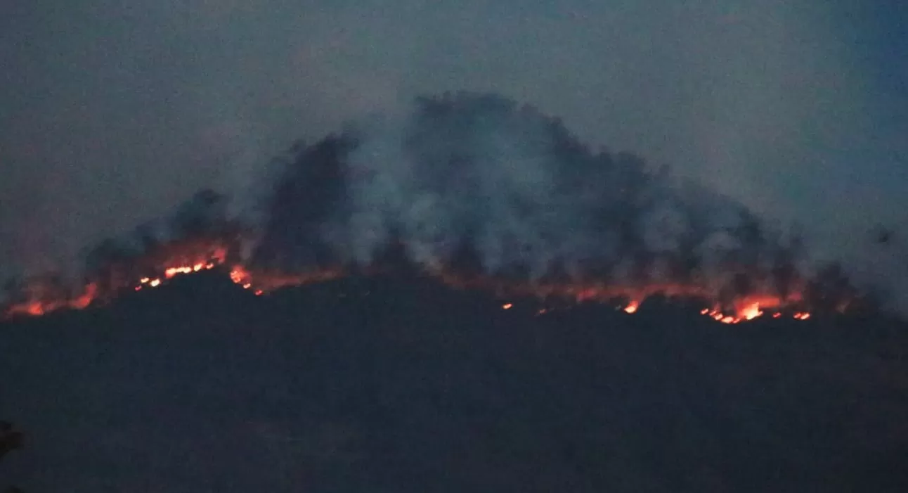 Kebakaran Gunung Lawu Mulai Masuk Wilayah Karanganyar, Status Tanggap ...