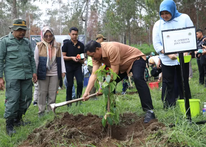 Tanam 3.400 Bibit Pohon Di Kawasan Taman Nasional Gunung Merbabu, Nana ...