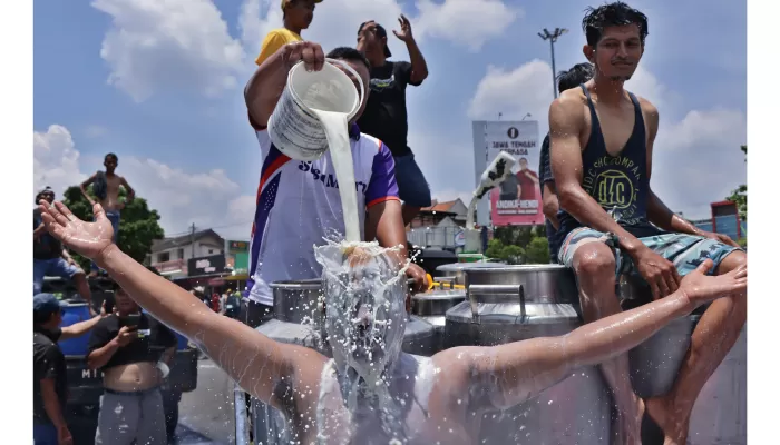 Para peternak dan pengepul susu sapi Boyolali menggelar aksi protes buang susu sapi, Sabtu (9/11). (ARIEF BUDIMAN/RADAR SOLO)