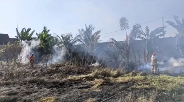 Musim Kemarau Banyuwangi Darurat Kebakaran Lahan Kosong Berikut Lokasinya Media Pedoman Indonesia 3424