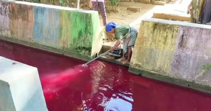 Warga Pamekasan Digegerkan Dengan Warna Air Sungai Bendadak Berubah