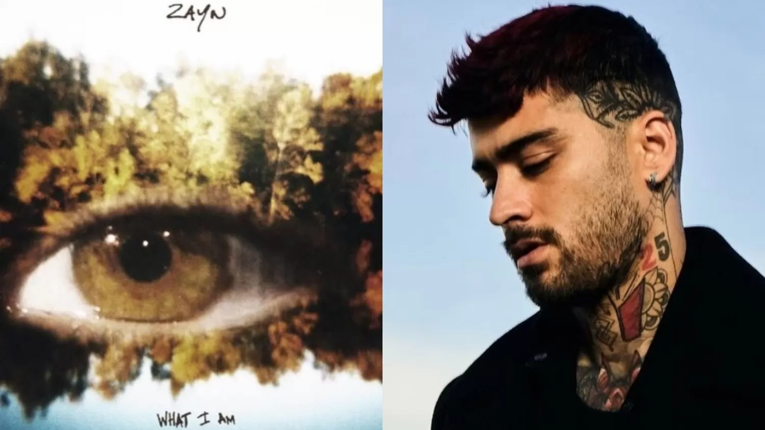 Zayn Malik Rilis Lagu Baru What I Am Indozone Music 