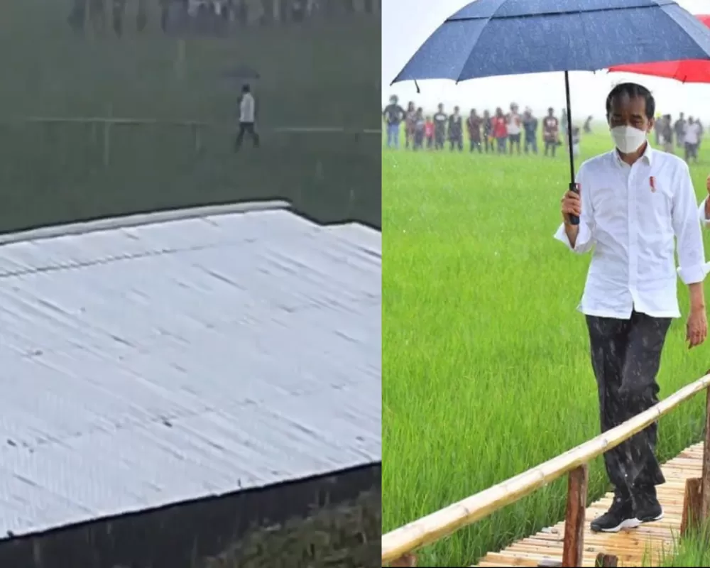 Video Jokowi blusukan hujan-hujan di tengah sawah. (Kolase X/@ZulkifiliLubis69 dan Instagram.com/jokowi)