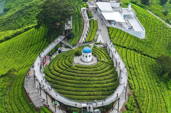 Intip Keindahan Nimo Highland Bandung, Rasakan Sensasi Berlibur Yang ...