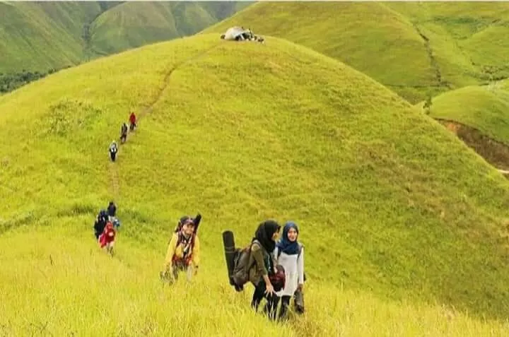 Bukit Holbung Samosir: Destinasi Menantang anda dengan segala rintangan dan  Keseruannya - Teritorial 24