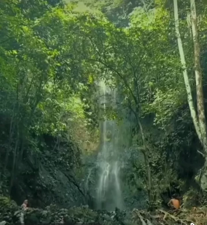 Air Terjun Sungai Kandi Destinasi Wisata Alam Yang Menarik Di Teluk