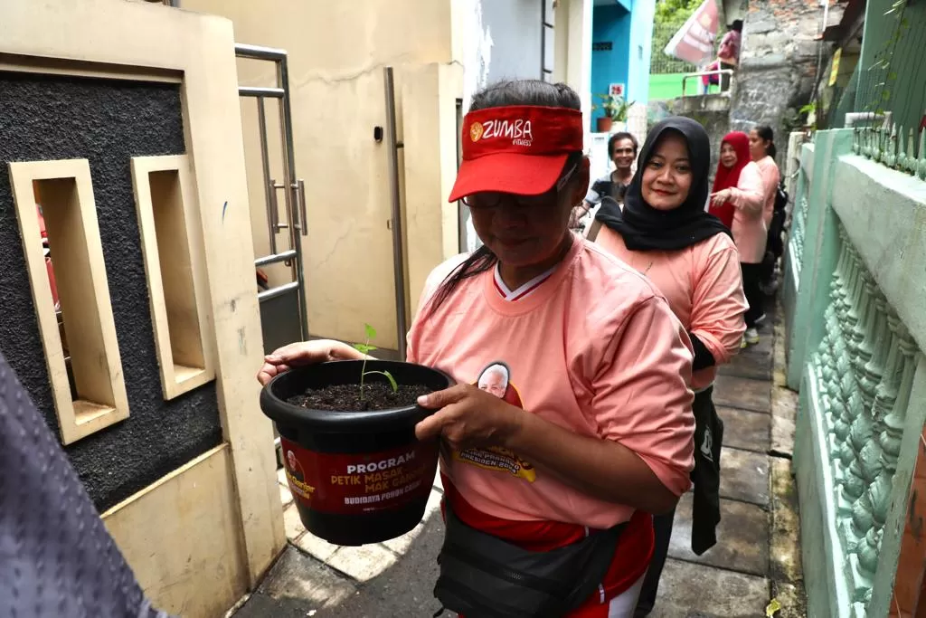 Mak Ganjar Berbagi Pohon Cabai Door To Door Di Jakpus Pojok Satu