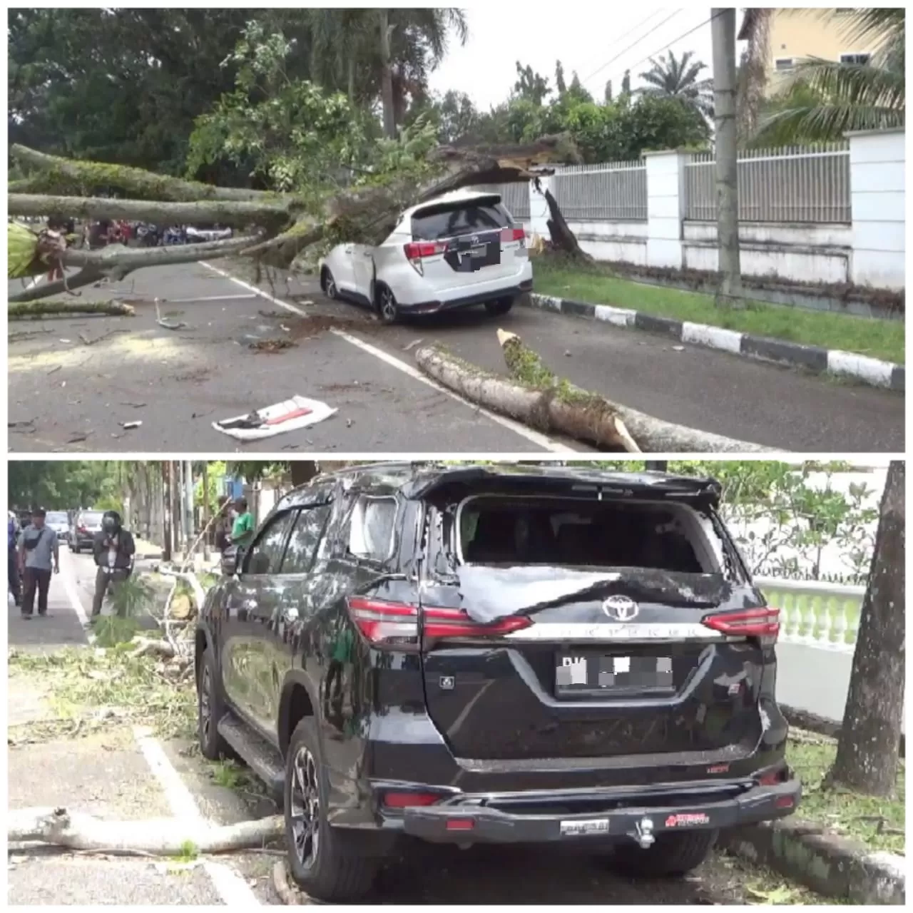Parkir Di Pinggir Jalan Dua Mobil Mewah Di Medan Tertimpa Pohon Flamboyan Pojok Satu