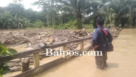 PENYEBAB BANJIR: Limbah kayu yang diduga bersumber dari dua perusahaan HTI yang menyesaki aliran sungai.