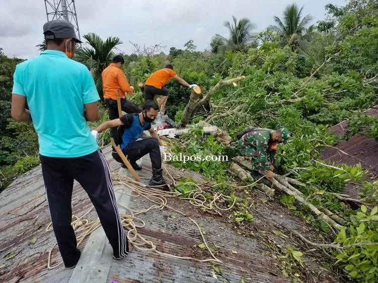 PEMOTONGAN: Hujan deras disertai angin kencang mengakibatkan pohon tumbang mengenai dua rumah warga. Petugas gabungan melakukan pemotongan dahan di atas rumah tersebut.