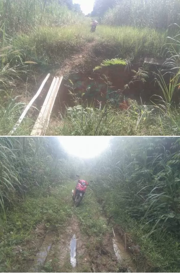 SULIT DILALUI: Keadaan jalan antar desa Random Kecamatan Tanjung Harapan yang sulit dilalui usai jembatan penghubung putus.