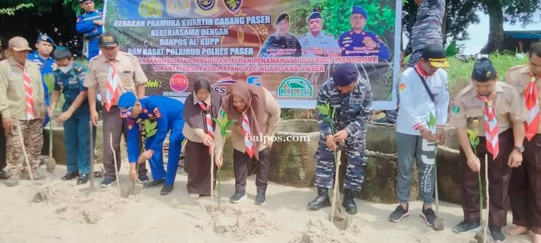TANAM: Hj. Syarifah Masitah Assegaf saat melakukan penanaman 1.000 bibit pohon mangrove di Desa Pasir Mayang, Kecamatan Kuaro. (IST)