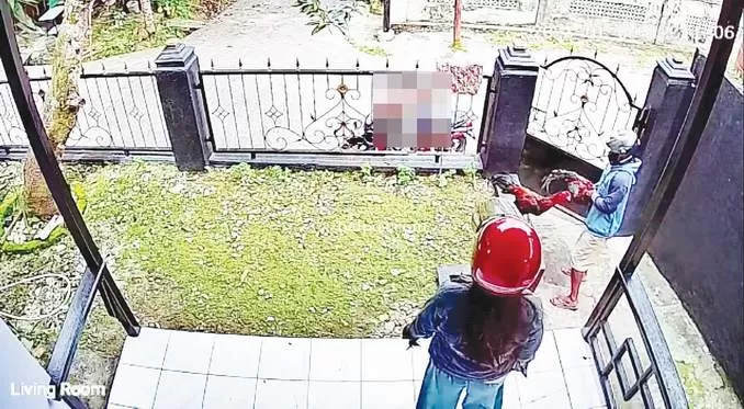 BAWA ANAK: Aksi suami-istri saat mencuri ayam bangkok di rumah warga Batu Ampar.