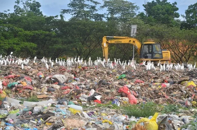 BERAROMA SAMPAH: Meski TPA Bujangga menggunakan sistem penimbunan terhadap sampah yang datang. Namun aromanya masih keluar dan menjadi keluhan warga sekitar.