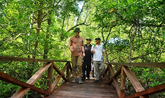 BERKELILING: Wakil Bupati Berau Agus Tantomo beserta rombongan Dubes Jerman berkeliling di hutan mangrove Teluk Semanting, Rabu (19/2).