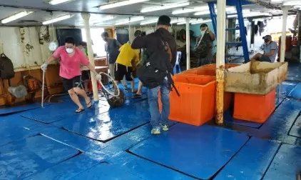 PANTAU: Dinas Perikanan Berau memantau langsung aktivitas pengiriman ikan kerapu hidup ke Hongkong.